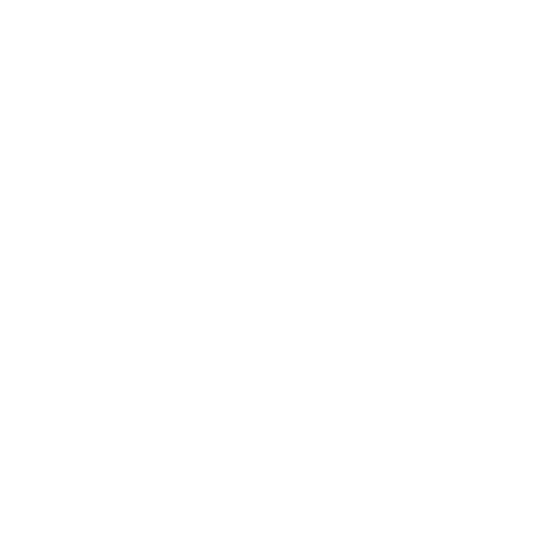 reseña